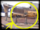 Dozer%20eaten.gif