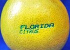 Laser%20Fruit%20Labelling.jpg