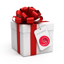 Holiday Giveaway 2018 from The Whole Dancer